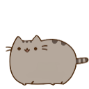 shimeji